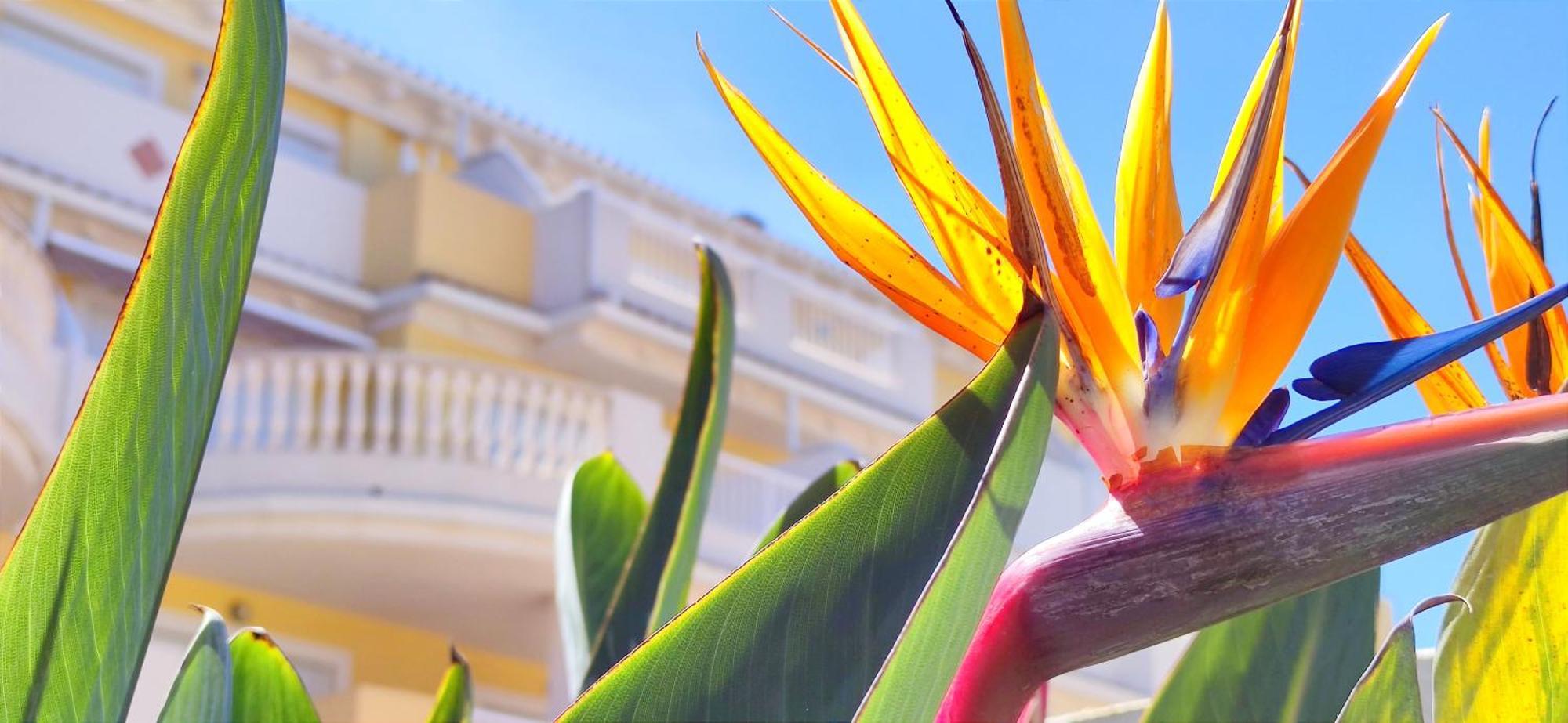 Playa Sol By Costa Apartamento Dénia